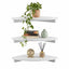 3pc Corner Floating Wall Shelf Wall Mounted Display Rack Round Edge White