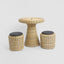 Saguaro Table Setting PE Rattan