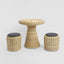 Saguaro Table Setting PE Rattan