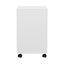 Artiss 5-Drawer Filing Cabinet Mobile Rolling Storage Cabinet Chest of Drawers Stand White