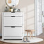 Shoe Rack Cabinet 16 Pairs White Ana