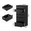 Artiss 2x Chest of 6 Drawers Dresser Tallboy Black