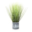 Grass in Pot 48cm