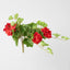 UV Trailing Geranium Bush Red (Set of 6)
