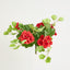 UV Trailing Geranium Bush Red (Set of 6)