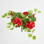 UV Trailing Geranium Bush Red (Set of 6)