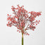 Baby's Breath Bundle Pink - Pack of 12