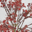 Baby's Breath Bundle Pink - Pack of 12