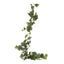 Ivy Garland 1.8m Green (Set of 12)