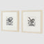 Rural Studies Framed Art Set of 2