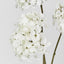 Mini Hydrangea Spray With 3 Heads White