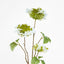 Lace cap Hydrangea Spray 70cm White (Set of 12)