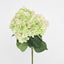 Hydrangea Bundle with Leaves 55cm Green & Pink