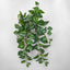 UV Trailing Variegated Bush (Set of 12)