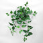 UV Flame Retardant Hanging Pothos Bush (Set of 6)