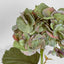 Hydrangea Large Stem With Leaves 75cm