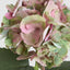 Hydrangea Large Stem With Leaves 75cm Light Pink