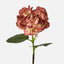Hydrangea Large Stem With Leaves 75cm