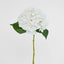 Hydrangea Stem 62cm White - Pack of 12
