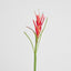 Heliconia 82cm Red