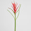 Heliconia 82cm Red
