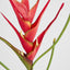 Heliconia 82cm Red