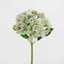 Hydrangea Stem Soft Touch 50cm Green (Set of 12)