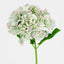 Hydrangea Stem Soft Touch 50cm Green (Set of 12)