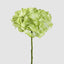 Soft Touch Hydrangea Flower Stem 75cm Green