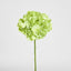Soft Touch Hydrangea Flower Stem 75cm Green