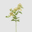 Helleborus Flower Spray 72cm Green (Set of 12)