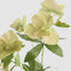 Helleborus Flower Spray 72cm Green (Set of 12)