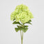 Fresh Touch Hydrangea Bunch Green