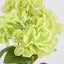 Fresh Touch Hydrangea Bunch Green