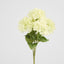 Fresh Touch Hydrangea Bunch White