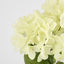 Fresh Touch Hydrangea Bunch White
