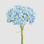 Mini Hydrangea Posy Blue