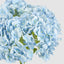 Mini Hydrangea Posy Blue