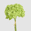 Mini Hydrangea Posy Green