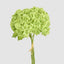 Mini Hydrangea Posy Green