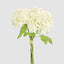 Mini Hydrangea Posy White