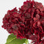 Real Touch Hydrangea 5 Head Bunch Burgundy
