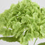 Real Touch Hydrangea 5 Head Bunch Green