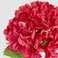 Hydrangea Flower Stem 48cm Fuchsia