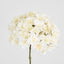Hydrangea White 74cm