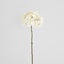 Hydrangea White 74cm