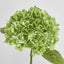 Hydrangea Real Touch Green 63cm