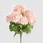Hydrangea Bush With 7 Heads Pink