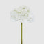 Hydrangea 50cm Snow White