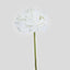 Hydrangea 50cm Snow White